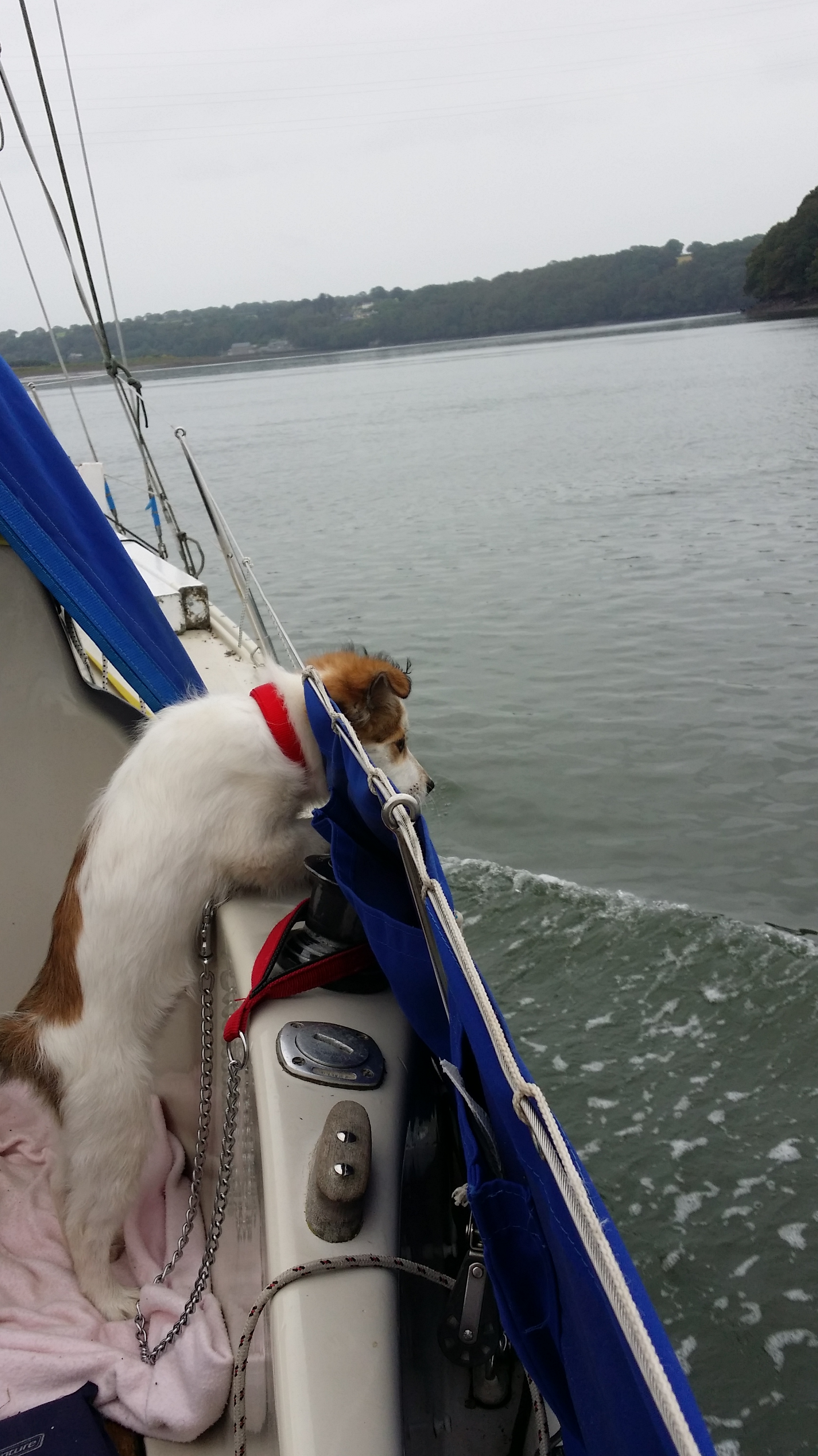 #19 When You feel the Fear- Stay in the Ship!