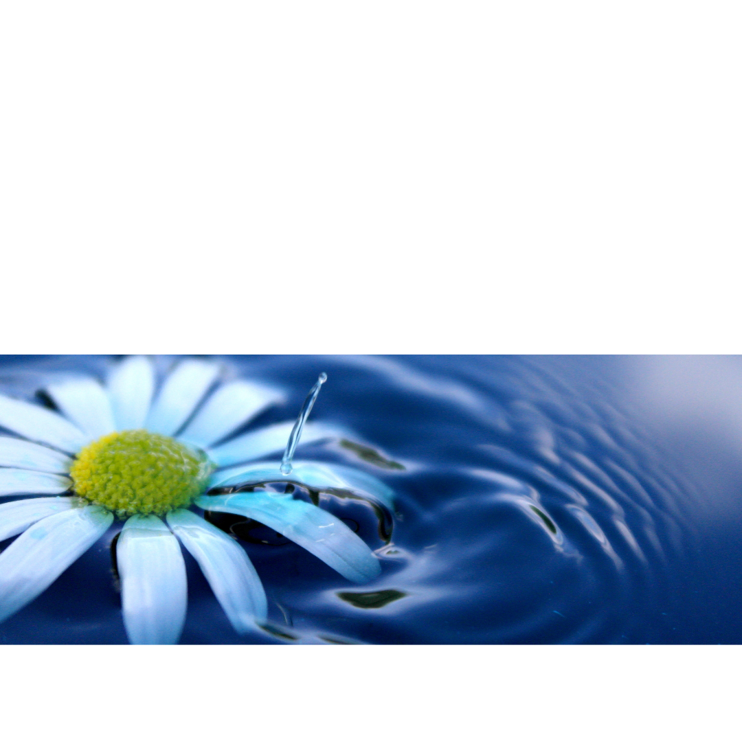 #53  THREE Strategies to help you to recover from burn out syndrome