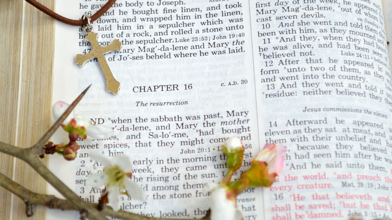 BIBLE STUDY / The Crucifixion and Resurrection is NOT Metaphor- it actually happened!