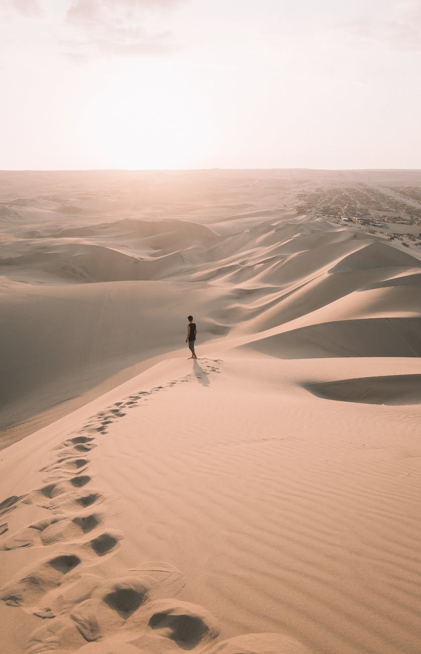 Stepping into Lent #2