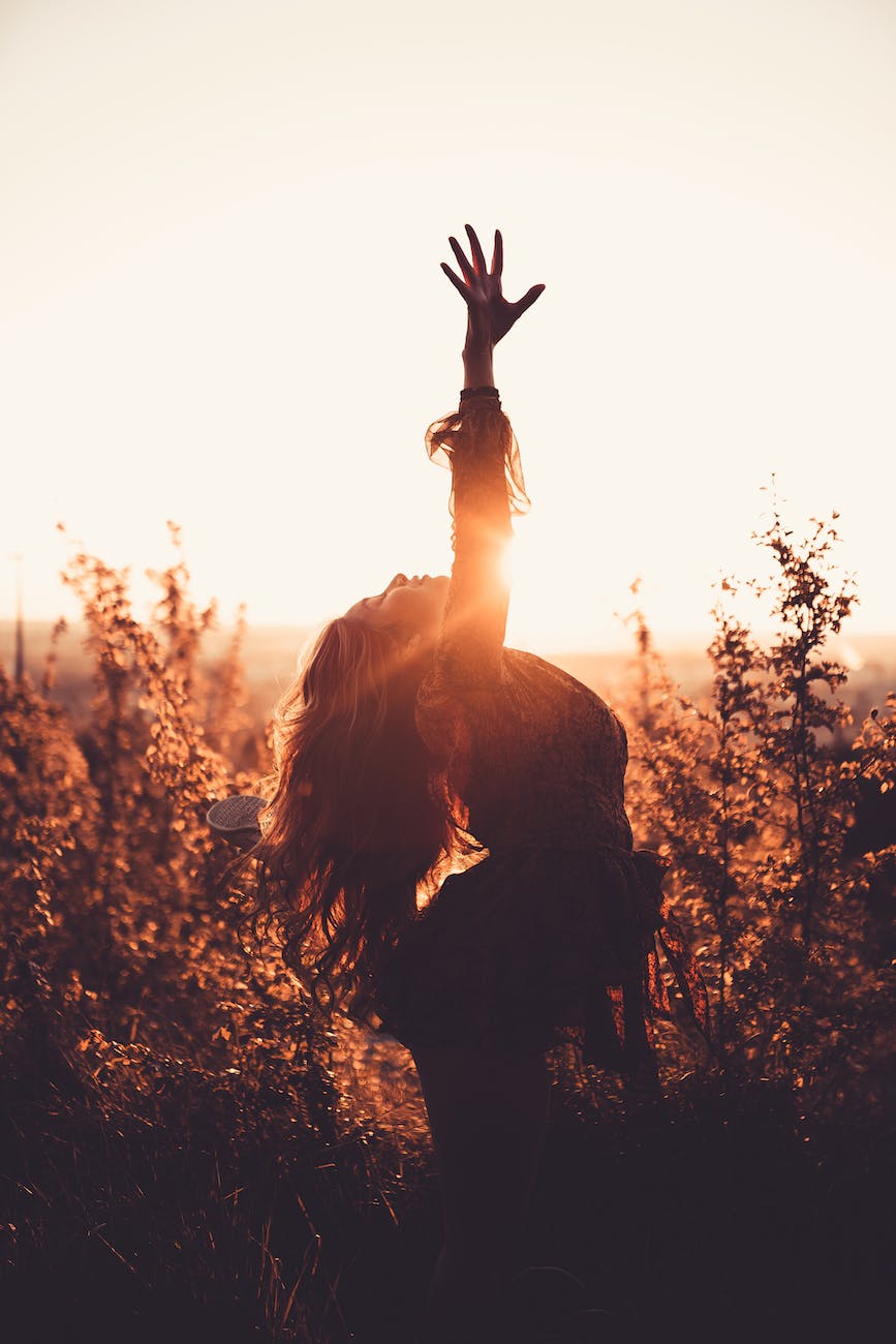 Wellness for Beginners, your wellness journey starts here!